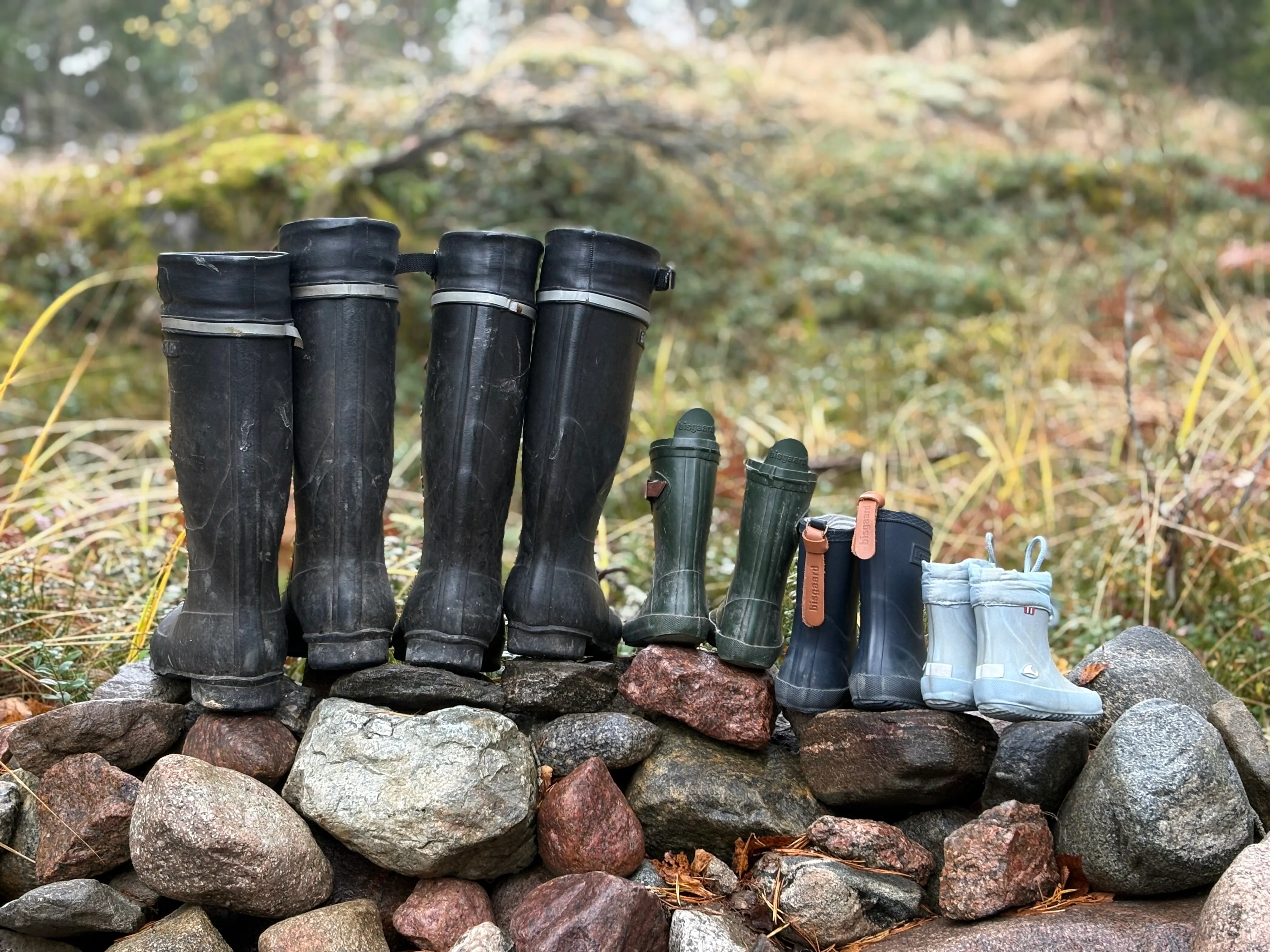 A family's collection of boots lined up on a stone wall in the forest