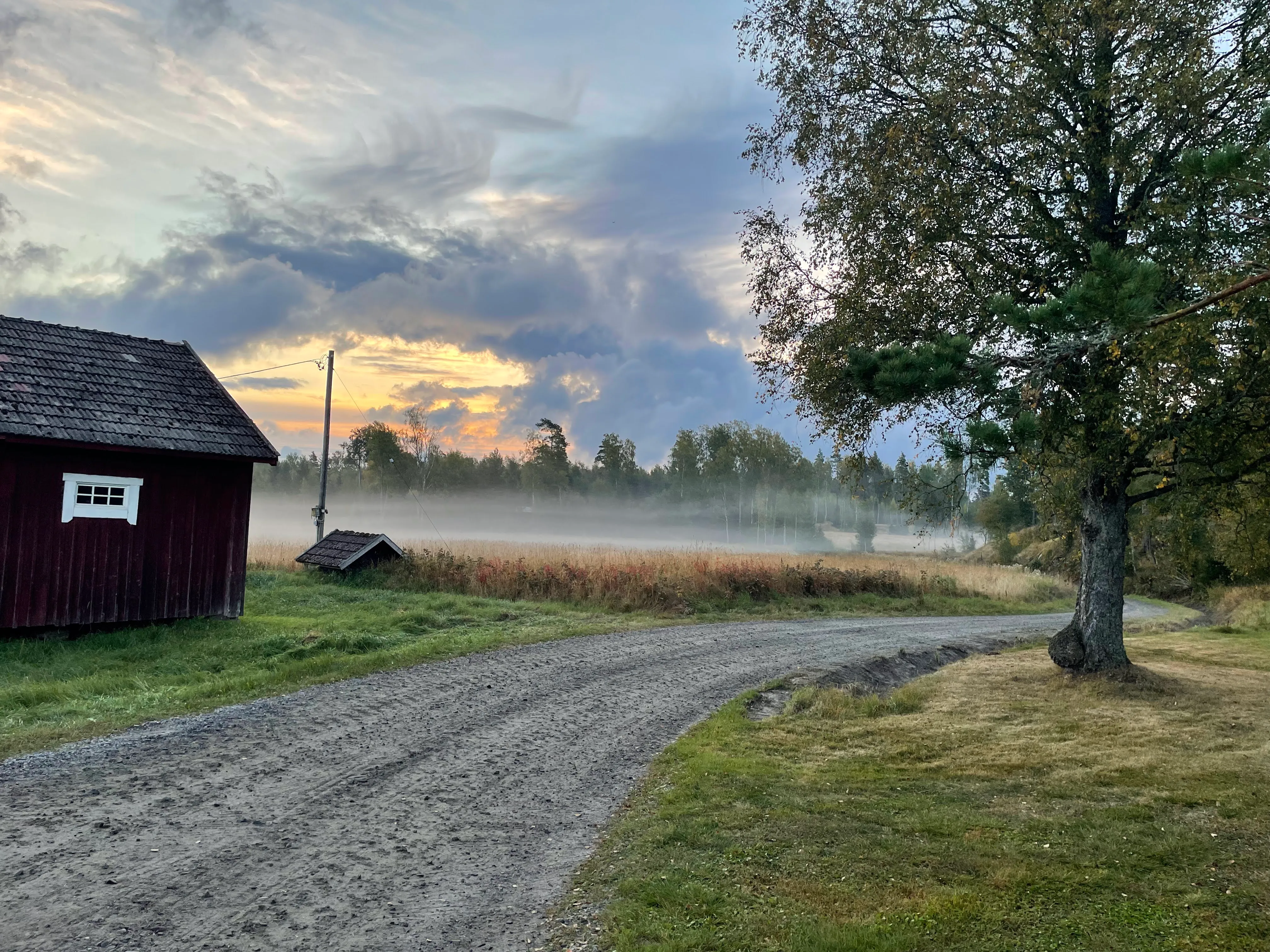 A misty country road winding through a Finnish landscape at sunrise